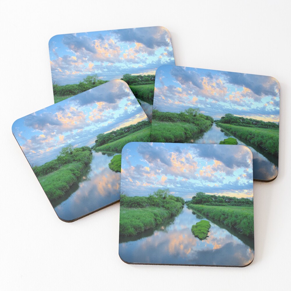 Item preview, Coasters (Set of 4) designed and sold by LynyrdSky.