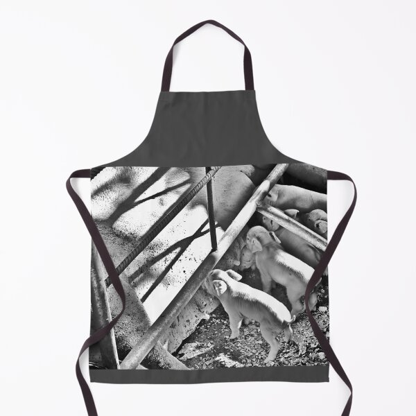 Item preview, Young pigs feeding designed and sold by Javier Narváez Solarte.