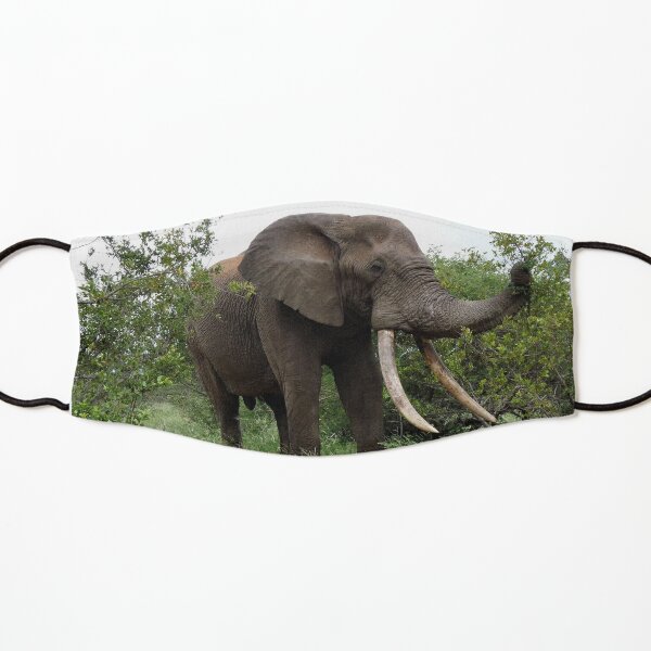 Ezulwini the gentle giant Kids Mask