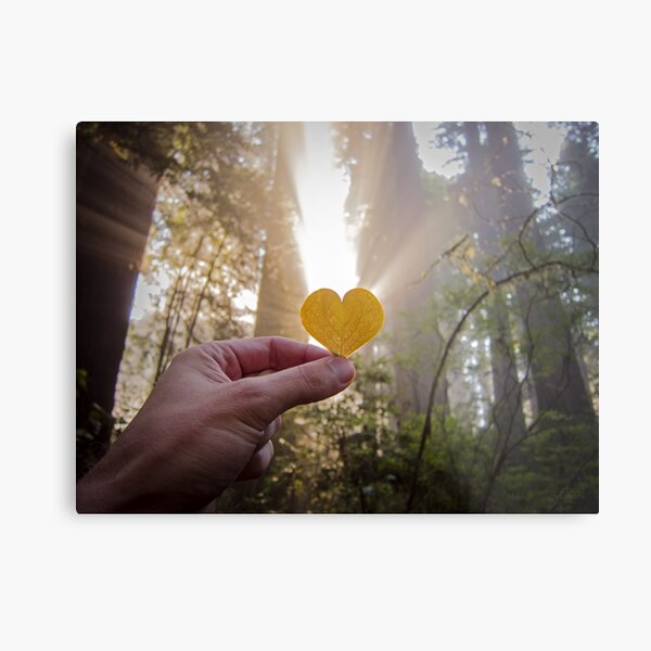 A Message From Your Mother Metal Print