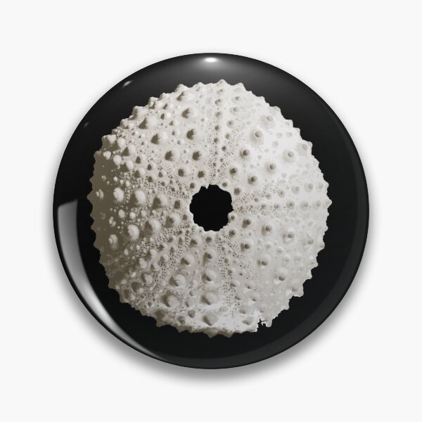 Item preview, White Sea Urchin designed and sold by Xilie.