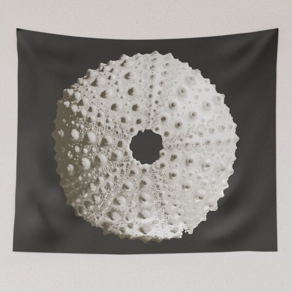 Item preview, White Sea Urchin designed and sold by Xilie.