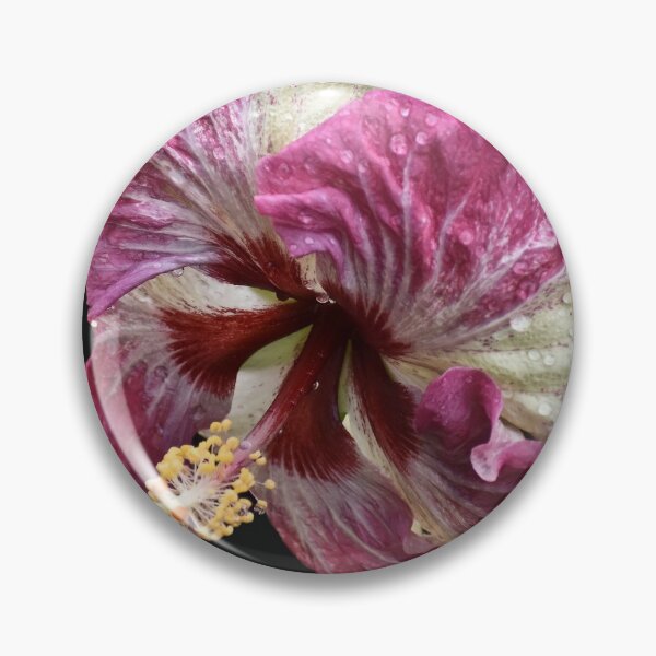Item preview, Portrait of a Hibiscus designed and sold by RoxanneG.