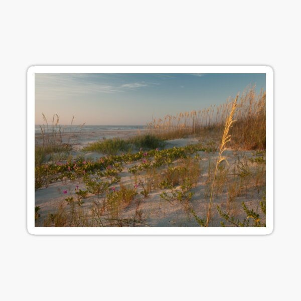 Sand Dunes Sticker