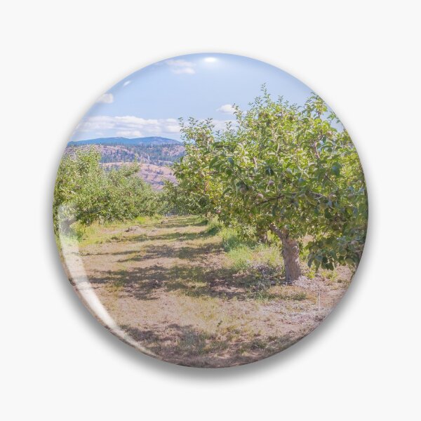 Artikelvorschau, an einem sonnigen Sommernachmittag. Fotografiert in der Gemeinde Kaleden entworfen und verkauft von Amy Mitchell.