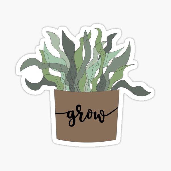 Succulent Sticker