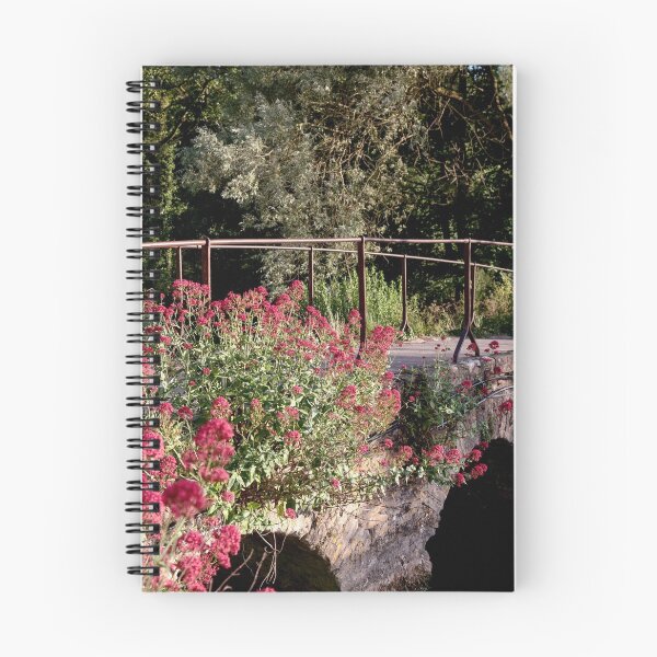 Aperçu de l'œuvre Pont romantique créée et vendue par FunkyPattern.