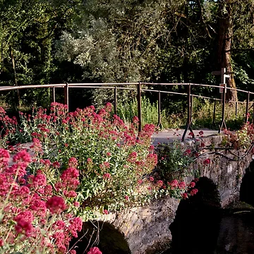 Artwork thumbnail, Romantic bridge by FunkyPattern
