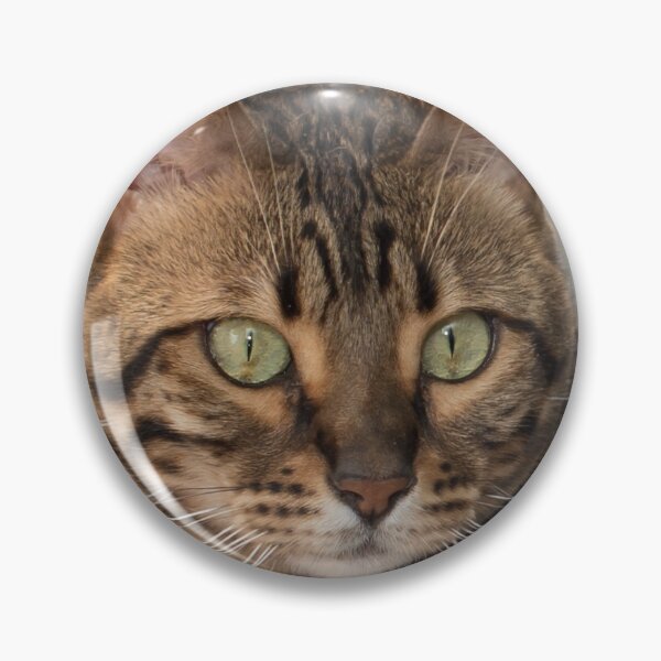 Item preview, Bengal cat designed and sold by Goldenskik.