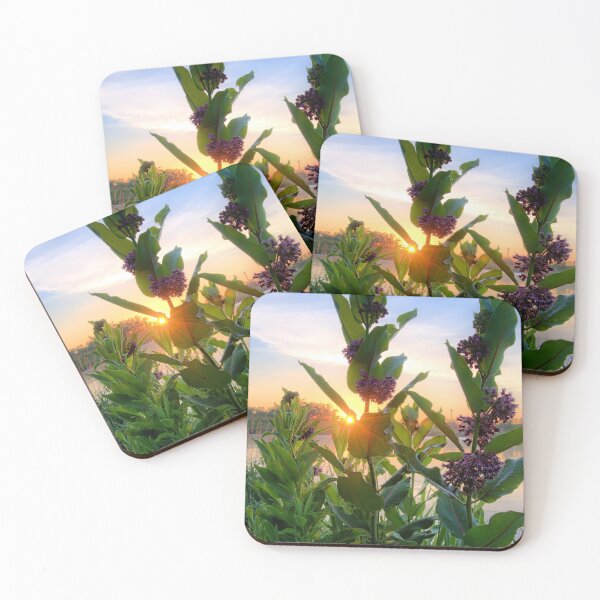 Item preview, Mayne's Milkweed designed and sold by LynyrdSky.