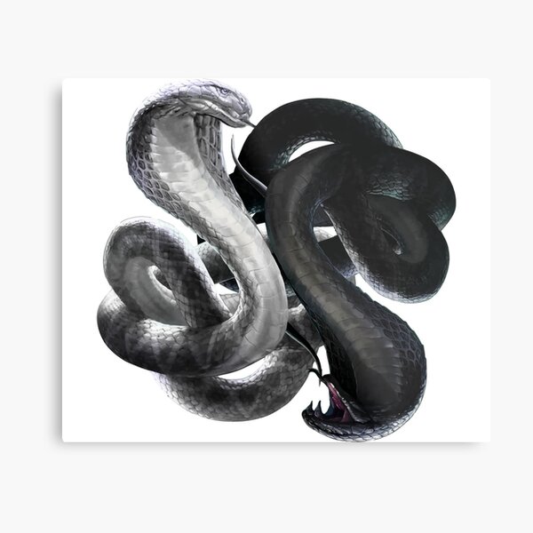 Yin Yang Snake Metal Print