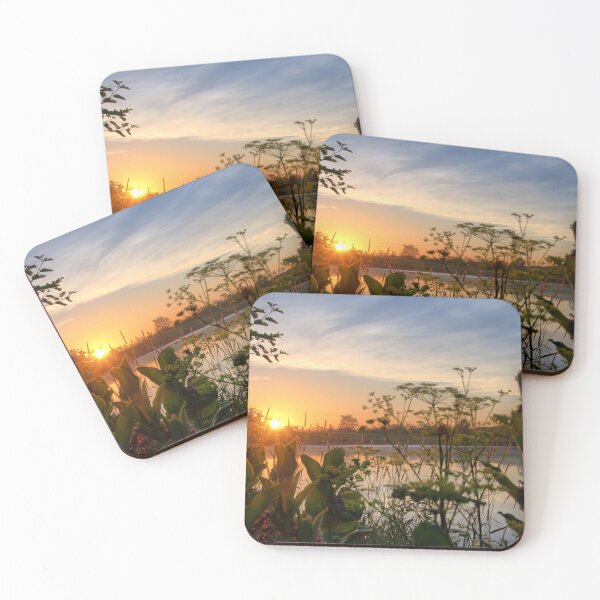 Item preview, Mayne's Milkweed 2 designed and sold by LynyrdSky.