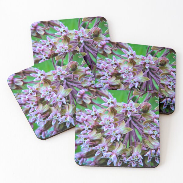 Item preview, Milkweed Macro designed and sold by LynyrdSky.