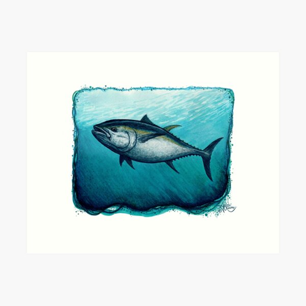 "Bluefin Tuna" by Amber Marine ~ Watercolor painting, art © 2016 Art Print