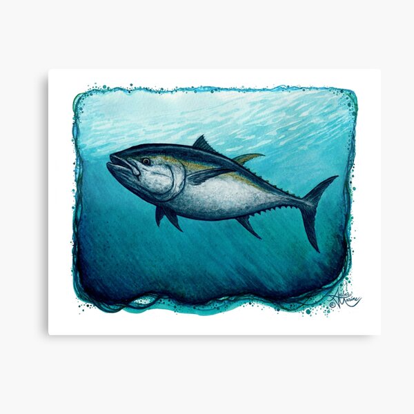 "Bluefin Tuna" by Amber Marine ~ Watercolor painting, art © 2016 Canvas Print