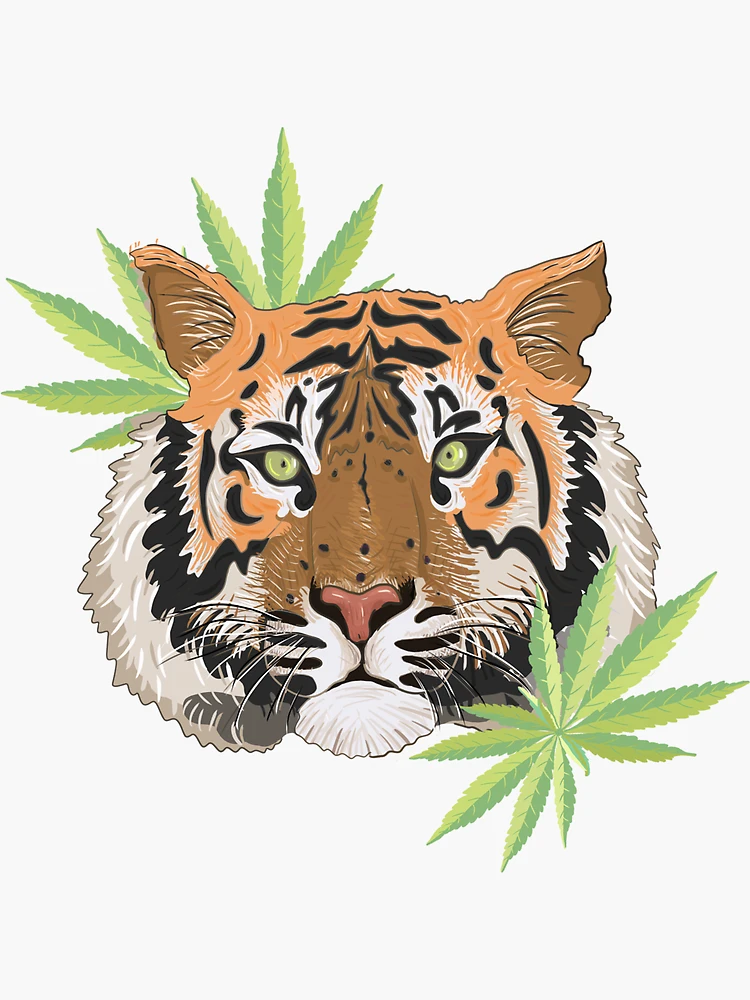 Cannabis design Just Smoke Tiger head Metal Print by Ari Shok - Fine Art  America