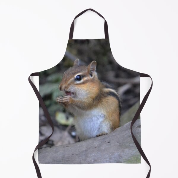 Item preview, Chipmunk Having a Snack designed and sold by ReneeKennedy.