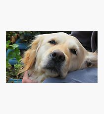 Loving Companion Photographic Print