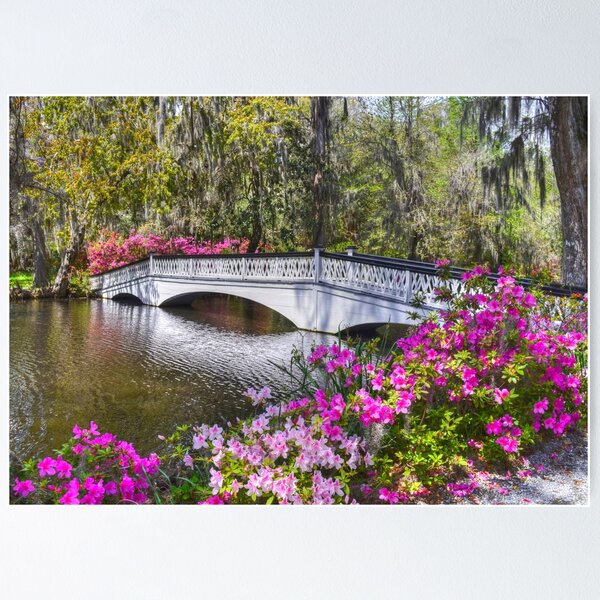 Item preview, The Bridge At Magnolia Plantation designed and sold by Kathy Baccari.