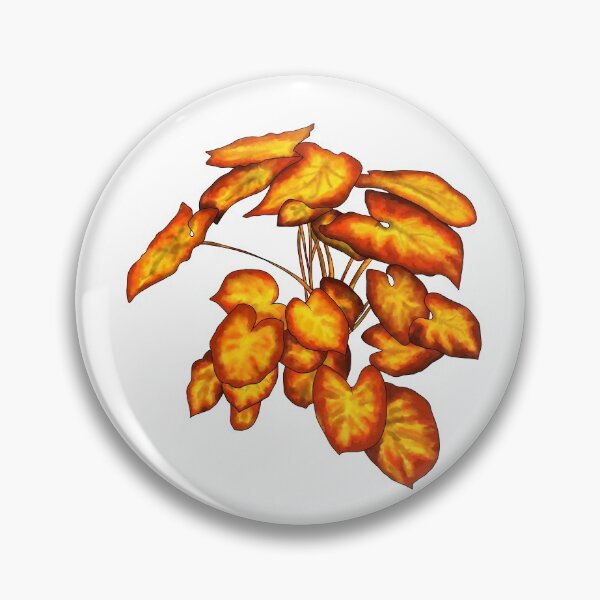Item preview, Syngonium podophyllum Orange designed and sold by shtem.