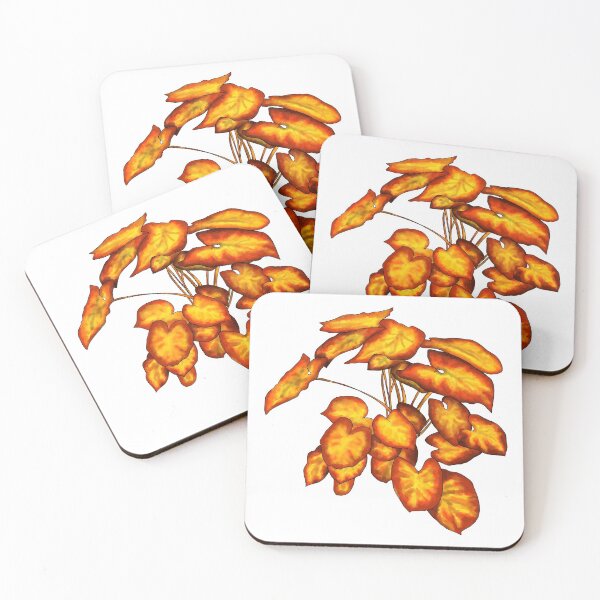 Item preview, Syngonium podophyllum Orange designed and sold by shtem.