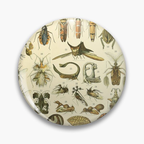 Item preview, Adolphe Millot Insectes Print designed and sold by Flip & Flop.