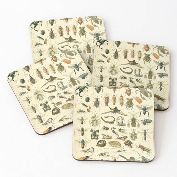 Item preview, Adolphe Millot Insectes Print designed and sold by Flip & Flop.