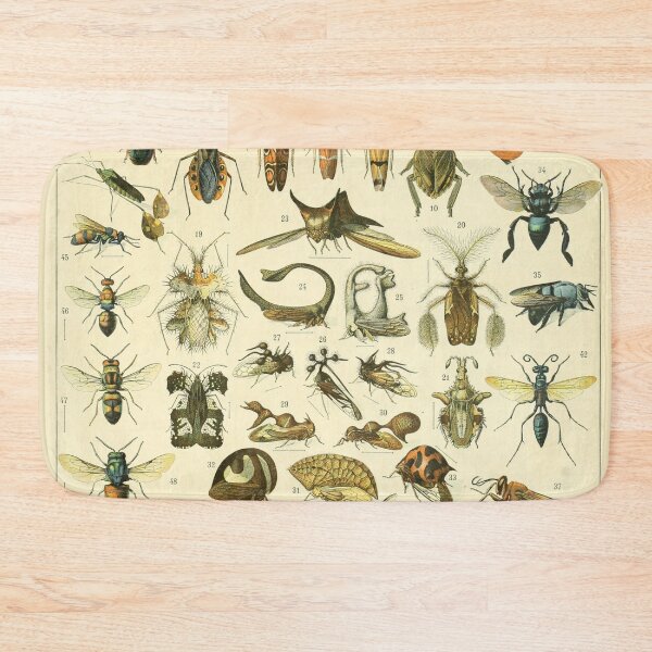 Item preview, Adolphe Millot Insectes Print designed and sold by Flip & Flop.