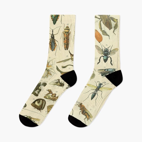 Aperçu de l'œuvre Impression d'insectes Adolphe Millot créée et vendue par Flip & Flop.