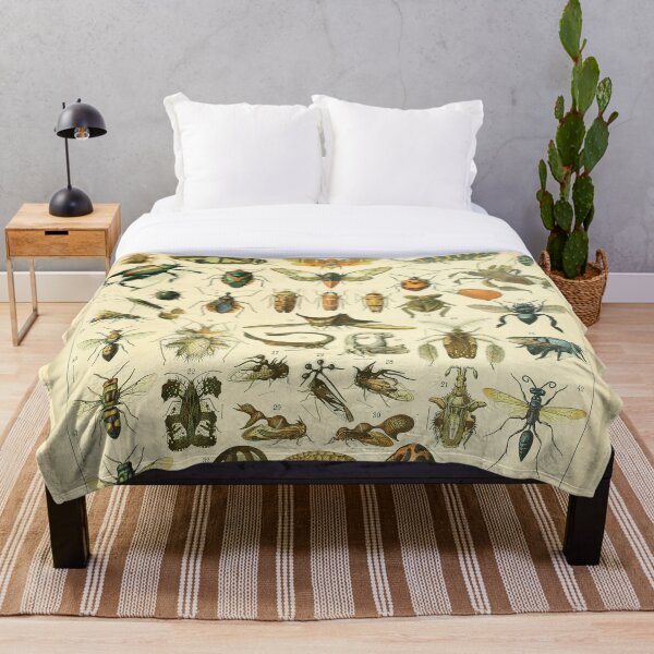 Item preview, Adolphe Millot Insectes Print designed and sold by Flip & Flop.