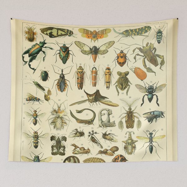 Item preview, Adolphe Millot Insectes Print designed and sold by Flip & Flop.