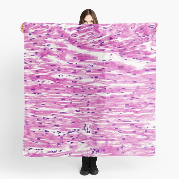 Item preview, Myocardial Tissue designed and sold by DarkiraVClemm.