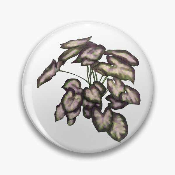 Item preview, Syngonium podophyllum Purple designed and sold by shtem.