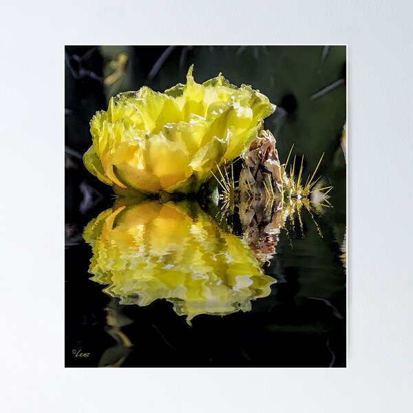 Item preview, Yellow Cactus Flower designed and sold by gemlenz.