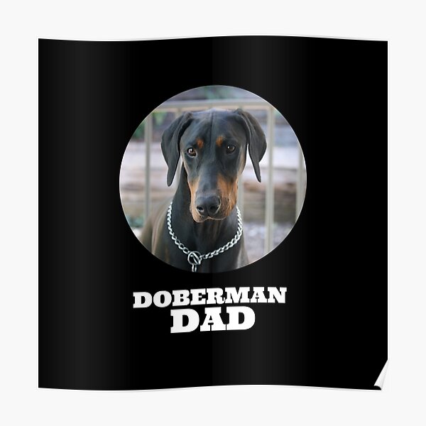Doberman Dad Poster