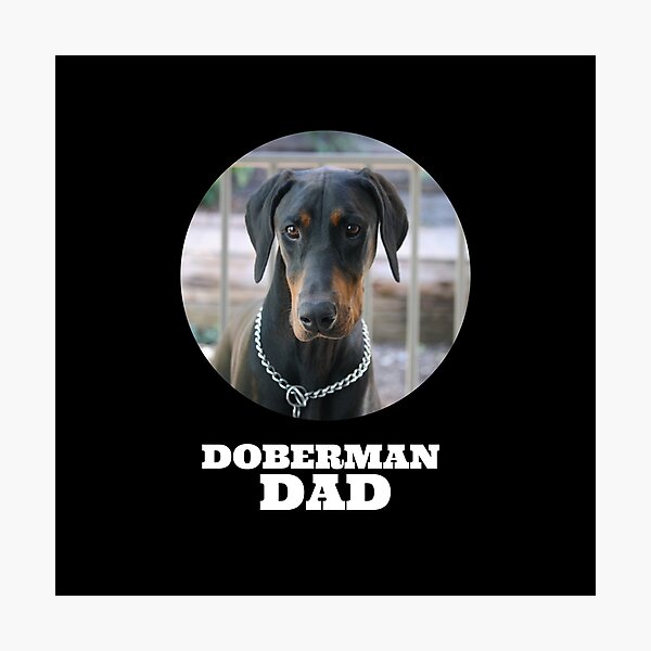Doberman Dad Photographic Print