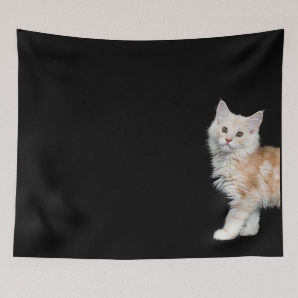 Item preview, Cute kitten designed and sold by timg58.