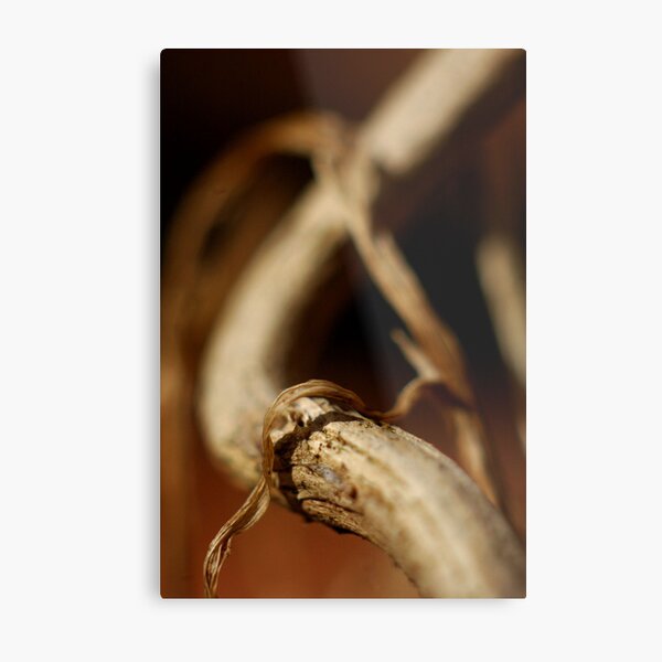 Tunnel Vision Metal Print