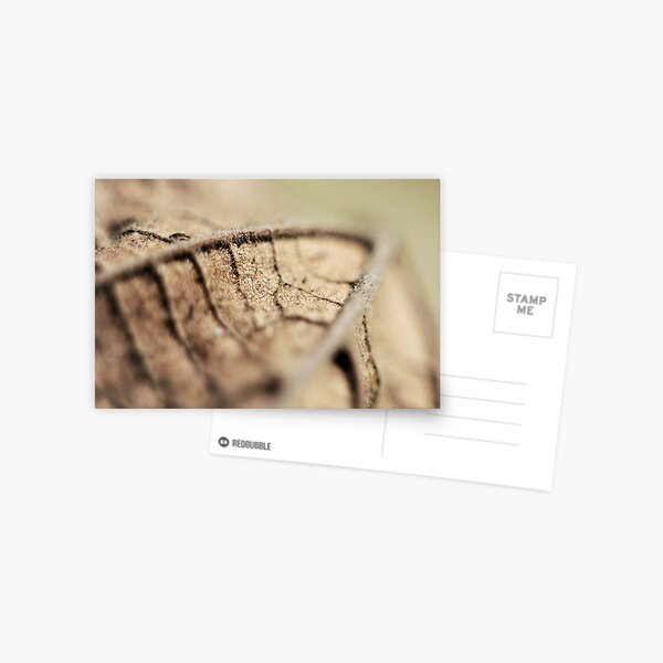 Leaf Postcard