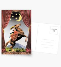In The Valley of The Pyramids Postcards