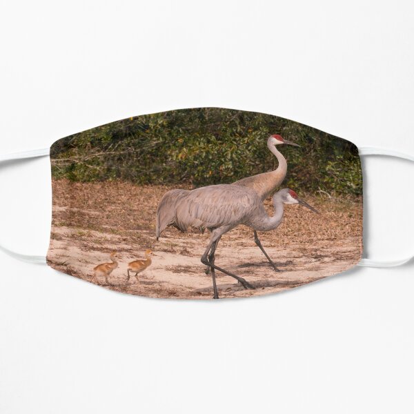 Sandhill cranes with chicks Flat Mask