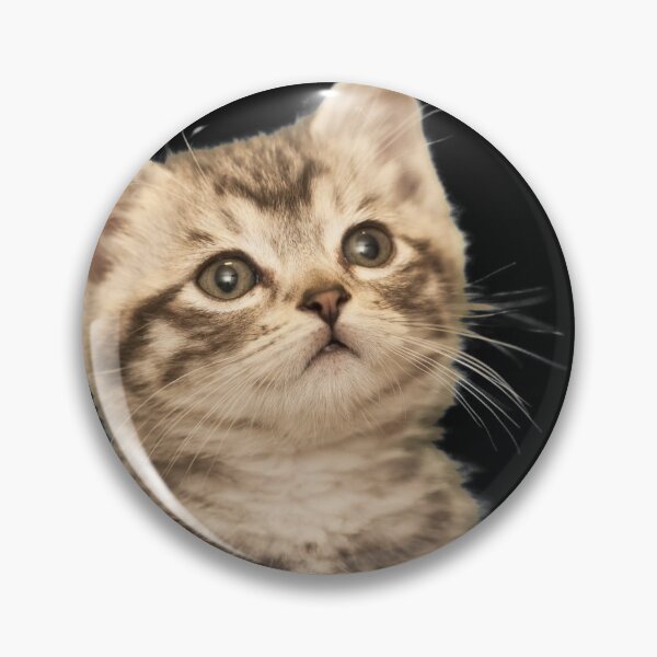 Item preview, Inquisitive kitten designed and sold by timg58.