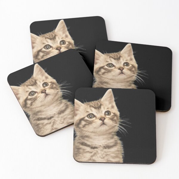 Item preview, Inquisitive kitten designed and sold by timg58.