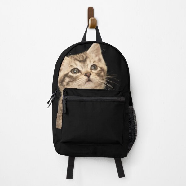 Item preview, Inquisitive kitten designed and sold by timg58.