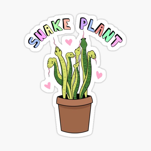 Snake Plant Sticker