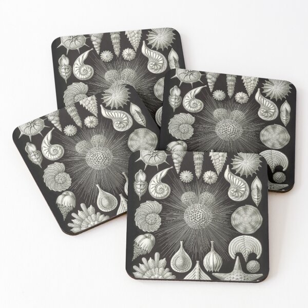 Item preview, Ernst Haeckel Vintage Sea Life Print designed and sold by Flip & Flop.