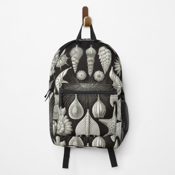 Item preview, Ernst Haeckel Vintage Sea Life Print designed and sold by Flip & Flop.