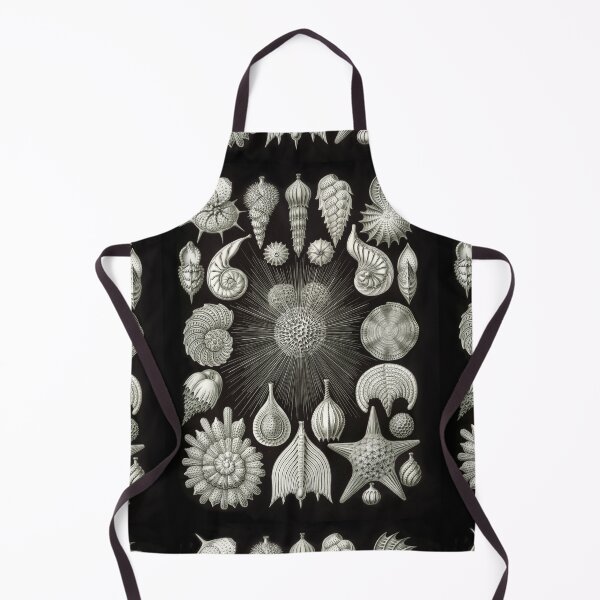 Item preview, Ernst Haeckel Vintage Sea Life Print designed and sold by Flip & Flop.