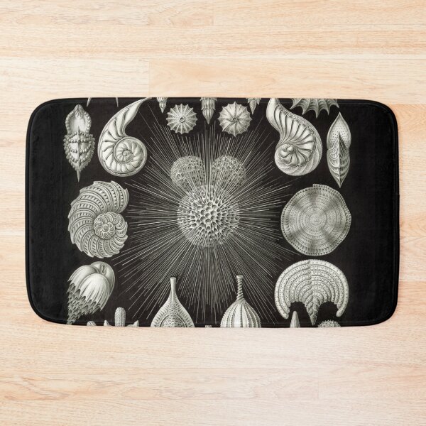 Item preview, Ernst Haeckel Vintage Sea Life Print designed and sold by Flip & Flop.