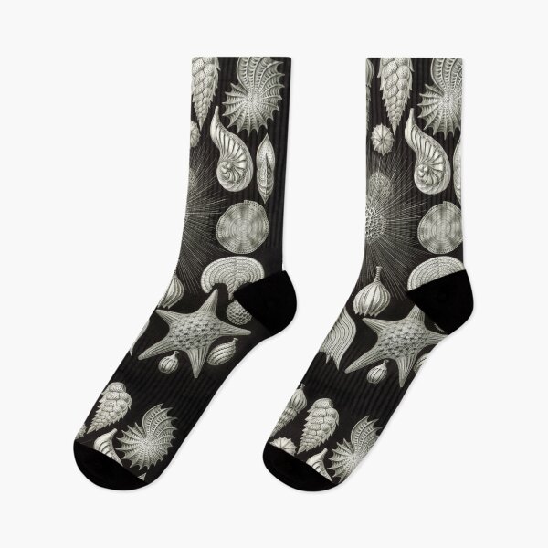 Item preview, Ernst Haeckel Vintage Sea Life Print designed and sold by Flip & Flop.